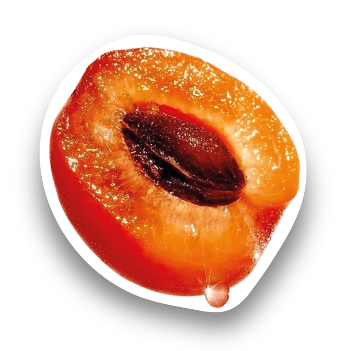 "Juicy Apricot" Sticker